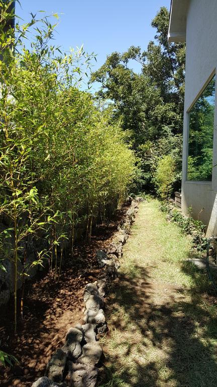 済州市 Supgol Private Houseヴィラ エクステリア 写真