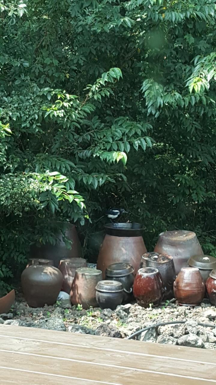済州市 Supgol Private Houseヴィラ エクステリア 写真