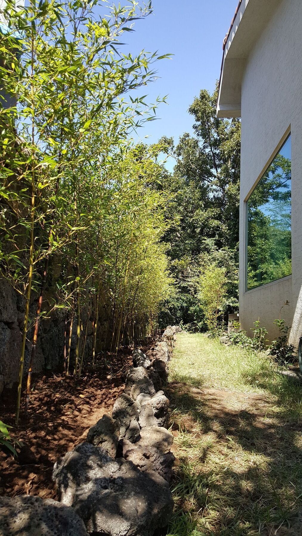 済州市 Supgol Private Houseヴィラ エクステリア 写真