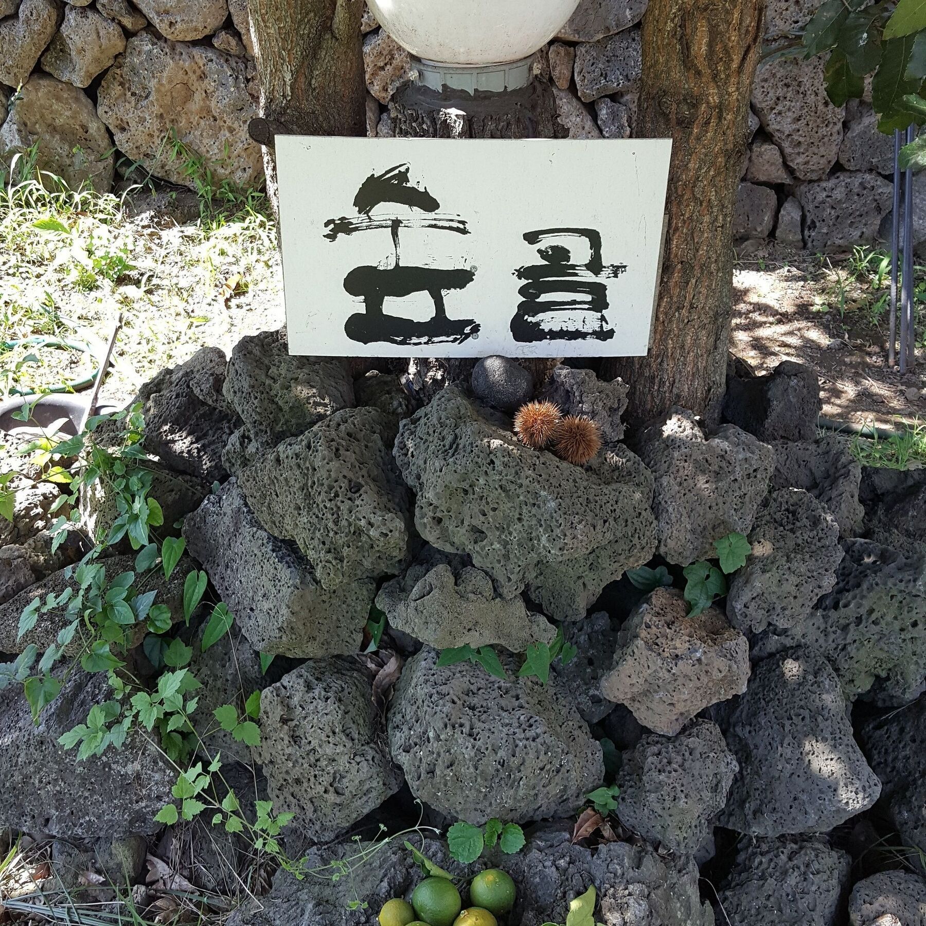 済州市 Supgol Private Houseヴィラ エクステリア 写真