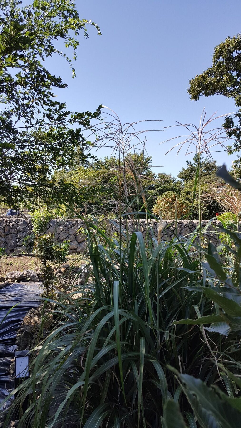 済州市 Supgol Private Houseヴィラ エクステリア 写真